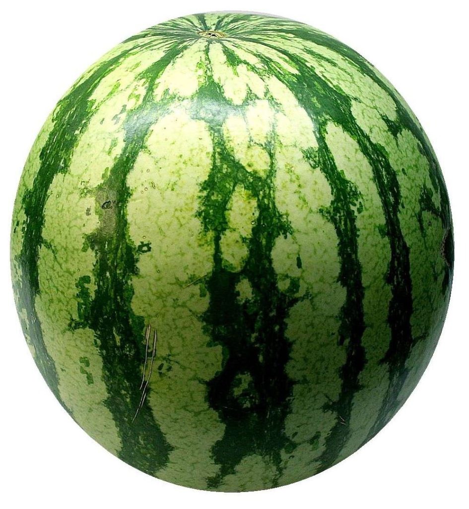 watermelon, melon, fruit-74342.jpg