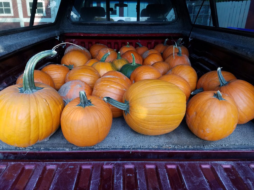 exploding pumpkins halloween science