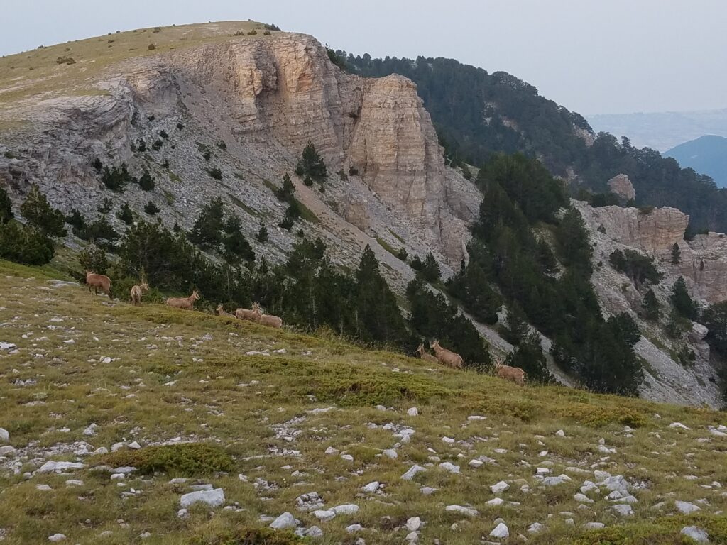 Mount Olympus Hike