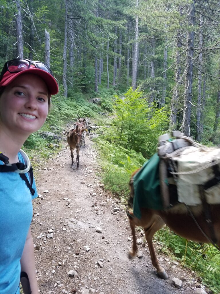 mount olympus hike