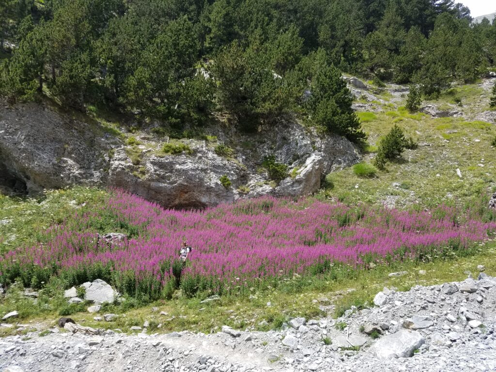 mount olympus hike